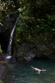 Pacific Waves Hostel & Surf - 1