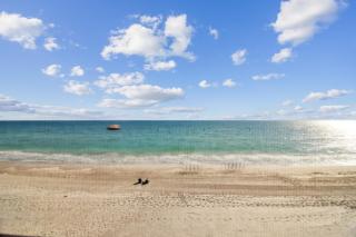 Shores of Madeira- Madeira Beach, FL - 3