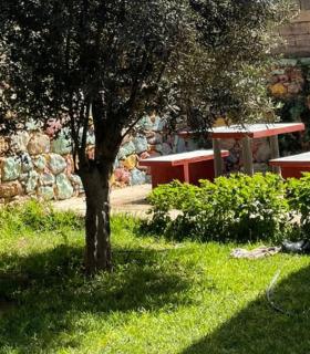villa waresa - Derroua - 7