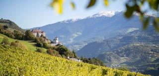 RÖCK Weingut - winery - Villandro - 9