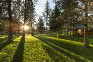 Lonesome Duck Ranch - 5