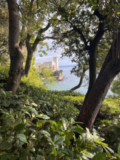 Vignola 6 - Trieste - 9