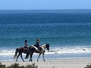 BLUE OYSTER Beach front beauty - Britannia Bay - 2