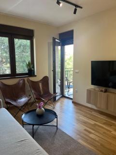 Sunny view Zlatibor - 4