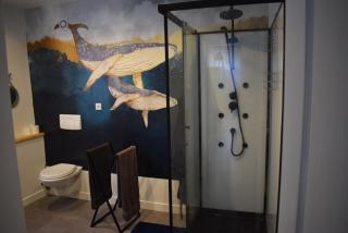 Appart hôtel 14 st Anne - Aubigny-sur-Nère - 5
