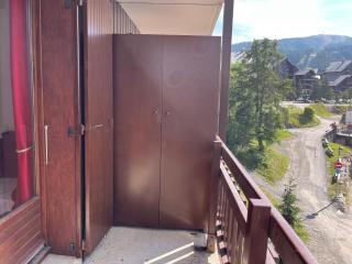 Standing Chamois - Risoul - 1