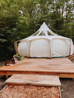 The Hideout - Stargazing Glamping Swim Oasis - Oregon City - 4