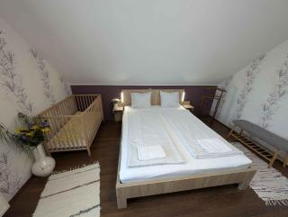 Apartments in Tihany - Balaton 51544 - Tihany - 7