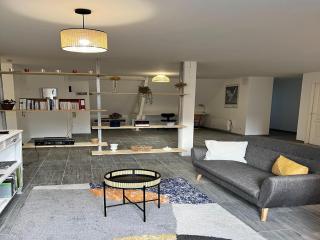 Renovated apartment in the centre of Sedan - Sedan - 4