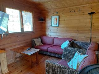 Chalet in Saint-Maurice-sur-Moselle with sauna - Saint-Maurice-sur-Moselle - 8