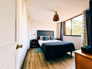 Cozy Apartment in Providencia - 0