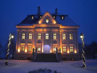 Hotel Pałac Borynia - Jastrzębie Zdrój - 1