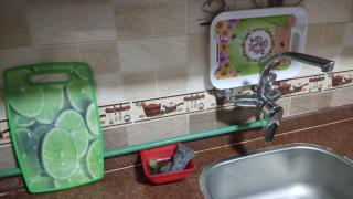 Alexandria apo qir - 1