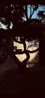 Kalina Couples Coastal Escape - Blairgowrie - 2