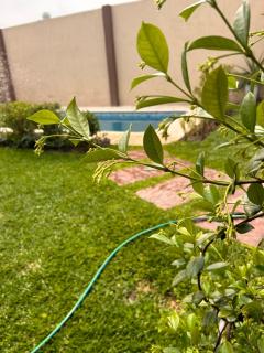 Casa Paraná - Paraná - 6