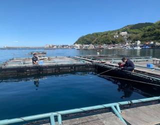 Greenmist Atami with Onsen - Atami - 2