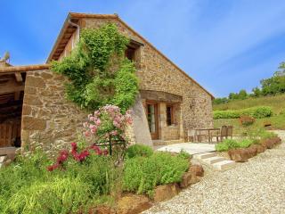 Very nice cottage with studio on a domain with heated pool - Roussines - 0