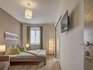 Apartment in St Stefan im Rosental - 1