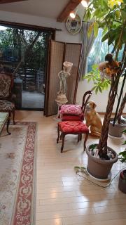 Setagaya-ku - House - Vacation STAY 16505 - Tokyo - 3