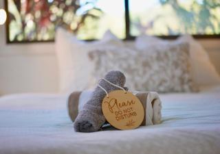 Byron Yoga Centre - Byron Bay - 2