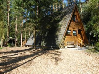 NEU! Kiefernhäuschen - Wienhausen - 1