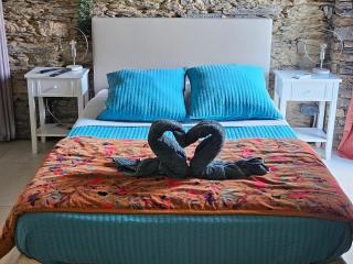 Domaine COLONNA SANTINI ,Chambre d hôtes Piscine, sauna, spa - 8