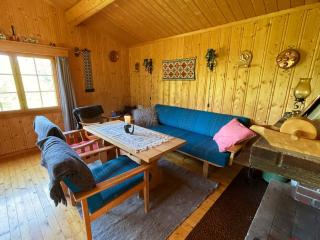 Granbu by Norgesbooking - cozy cabin at Golsfjellet - 3