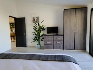 Unit 216-Casa Ricardo-Ocean View RENOVATED - 4