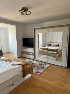 Arini Luxury Apartment - Sibiu - 0