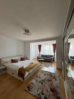 Arini Luxury Apartment - Sibiu - 7