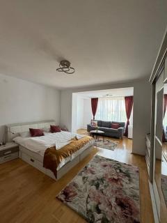 Arini Luxury Apartment - Sibiu - 2