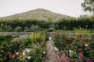 Klein Geluk Cottage - 8