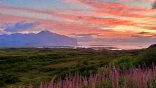 Peaceful Wildlife House - Bøstad - 9