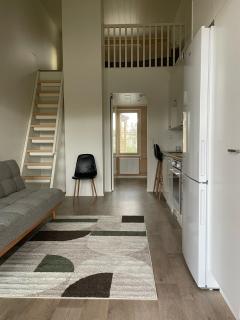 City Apartment Pilotti - - 2