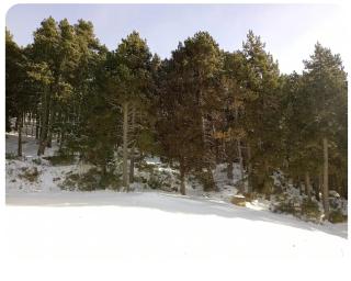 T2 lumineux avec terrasse lisière de forêt - Égat - 4