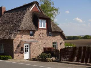 Felderblick oben - - 6