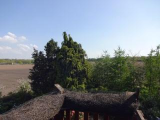 Felderblick oben - - 5