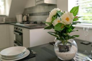 Beautiful town centre apartment - Huntingdon - 2