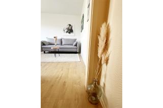 Le nid - studio - Strasburgo - 6