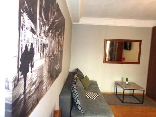Apartment Olympyska on Velyka Vasylkyvska 45 - Kiev - 9