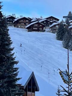Am Bühl EG - Bettmeralp - 9