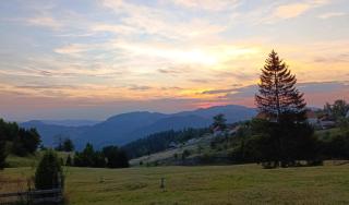 Planinski beg, Tara, Sekulići - Sekulić - 7