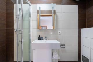 Charming Spacious Apartment in Central Prague - Prague - 9