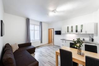 Charming Spacious Apartment in Central Prague - Prague - 8