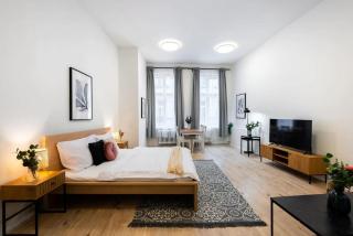 Elegant Spacious Old Town Studio - Prague - 2