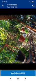 B&B Villa Ninetta - 9