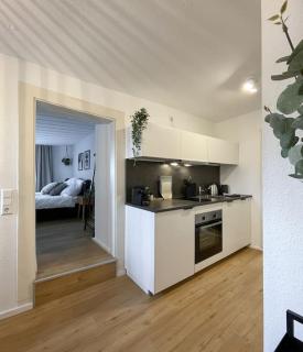 Gemütliche Altbauwohnung mitten in der Altstadt - Konstanz - 5