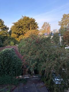 Spacious Apartment in Historical district with FREE parking - 8