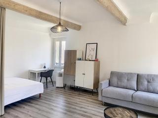 Carré d'Or F1bis Croisette 1 mn Olam Properties - 5