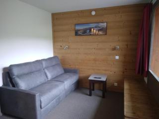 Studio divisible rénové, 4 pers, accès direct pistes, animaux admis - FR-1-181-2385 - 0